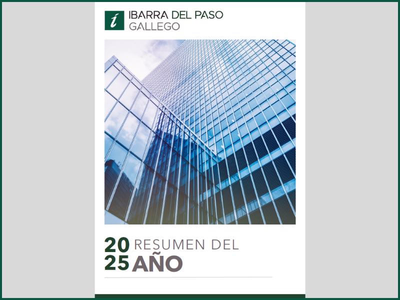 2025 RESUMEN DEL AÑO VERSIÓN FINAL